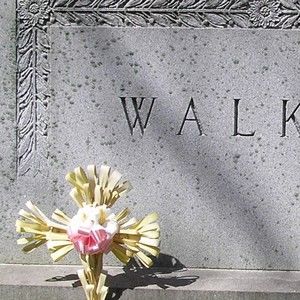 Meet your Posher, Ana leislani